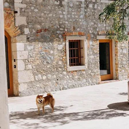 La Ghiandaia *