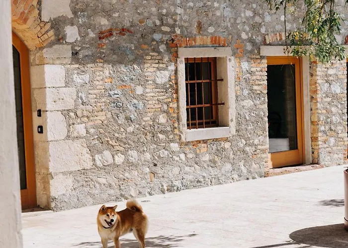 La Ghiandaia *